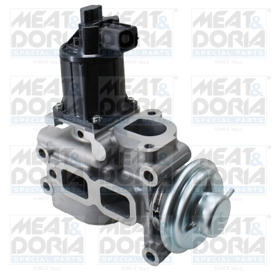EGR Valve